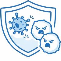 Supports Immune Resilience