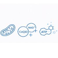 Targets Mitochondrial Function