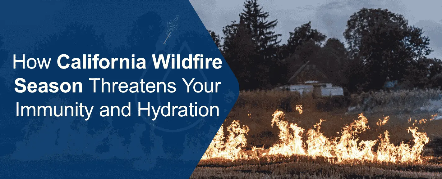 California wildfire season: air quality, immunity, and hydration