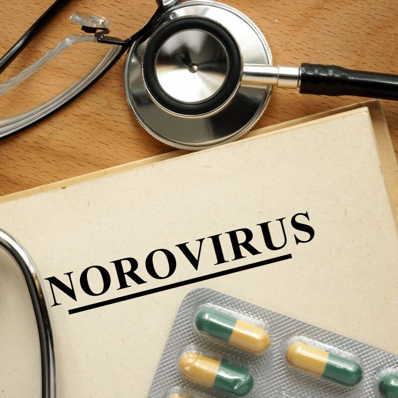 what is norovirus
