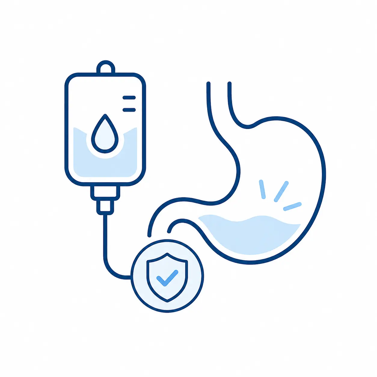 Supports Phase II Liver Clearance