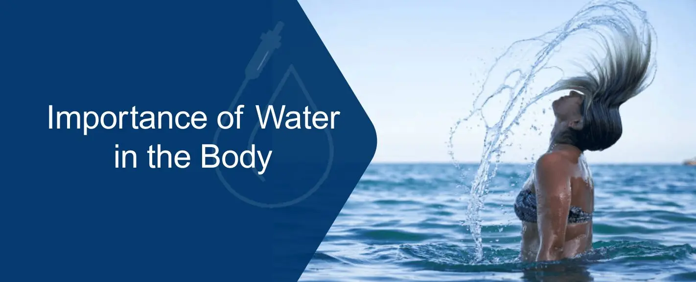 Importance of Water in the Body: Benefits and Daily Needs | Mobile IV Medics